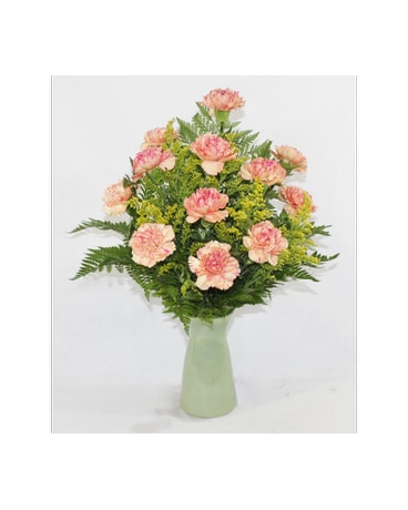 Carnations Delight