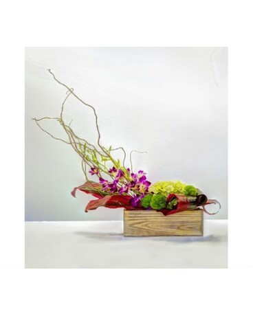 Bombay Orchids Delight