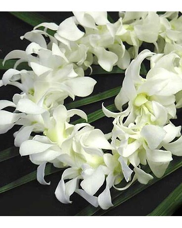 White-Dendrobium-Orchid-Lei