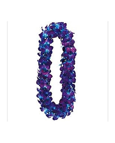 UCLA Blue Lei Double