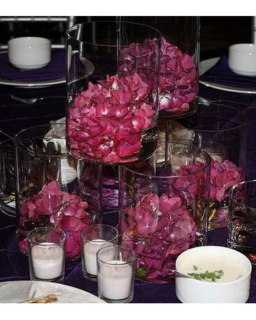 Sonal Kapadia Event