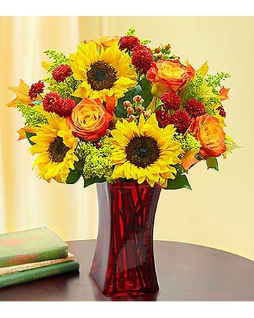 Autumn Sophistication -#99166M