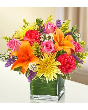 Multicolor Bright Cube Vase - #HVD95437M