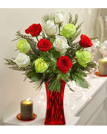 Long-Stem Holiday Roses