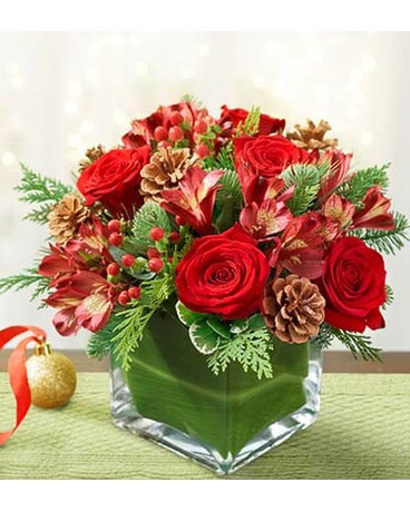 Colors of Christmas