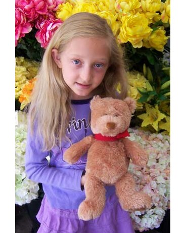 Red Bow Bear