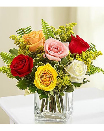 6 Assorted Roses in Cube MF1080M