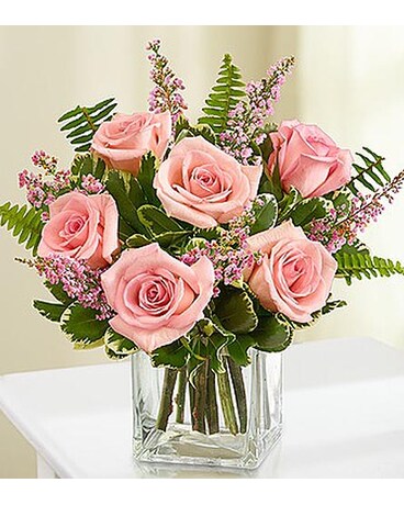 6 Pink Roses in Cube MF1080PK