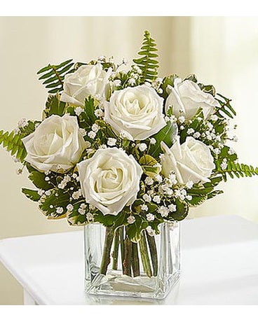 6 White Roses in Cube MF1080WH