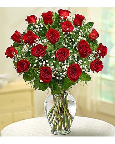 18 Premium Long Stem Roses - RedMF1120RDM