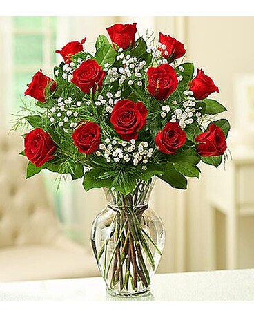12 Premium Long Stem Roses - Red MF1120RDS