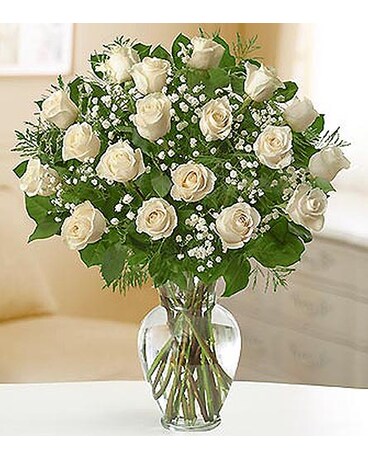 18 Premium Long Stem Roses - White MF1120WHM
