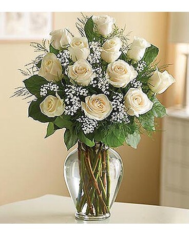 12 Premium Long Stem Roses - White MF1120WHS