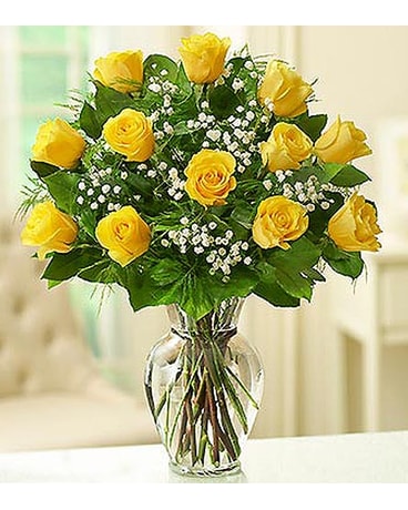 12 Premium Long Stem Roses - Yellow MF1120YLS