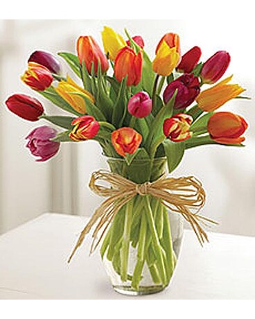 Mixed Tulips 20 Stems