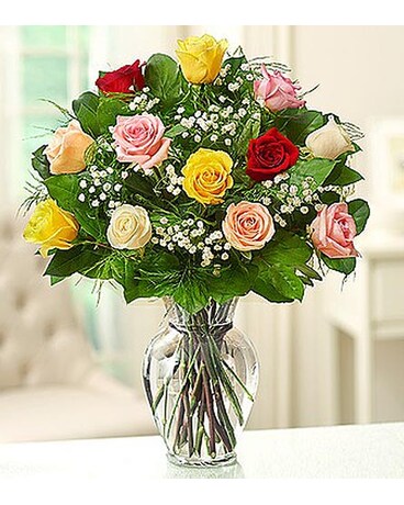 12 Premium Long Stem  Roses - Assorted MF1503S