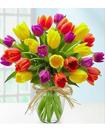 Timeless 30 Tulips