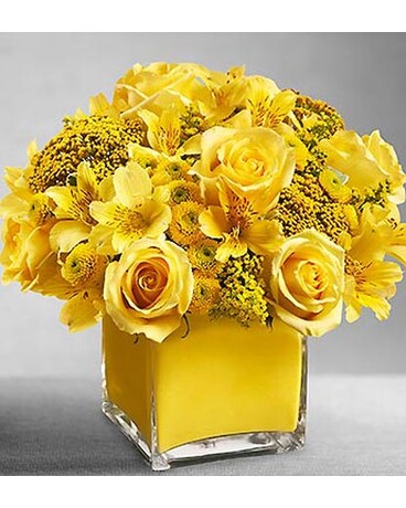 Colors of Love - Yellow