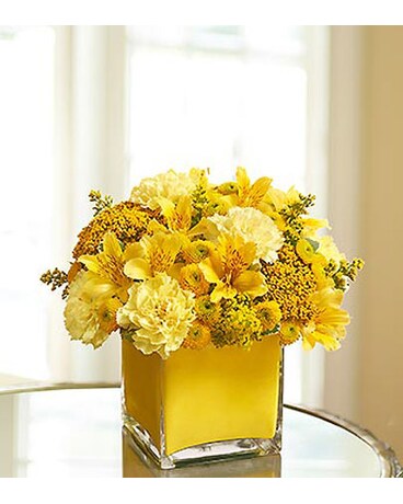 Colors of Love - Yellow