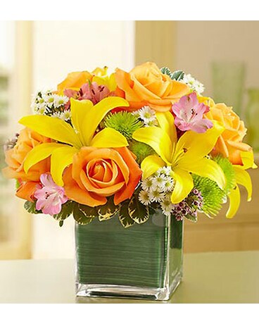 Fields of Europe in Cube Vase