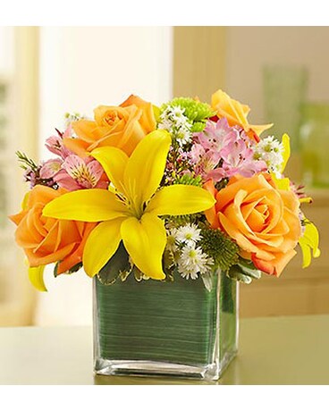 Fields of Europe in Cube Vase