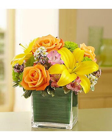 Fields of Europe in Cube Vase