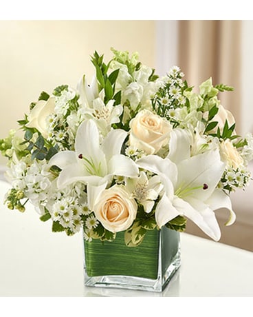 All White Cube Vase - #MF95378L