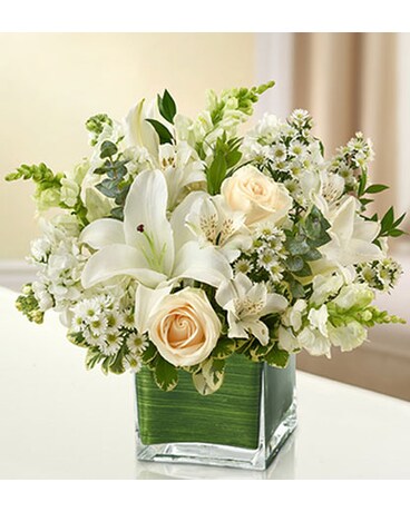 All White Cube Vase -#MF95378M