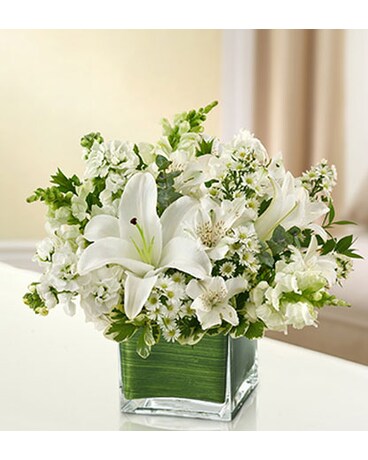 All White Cube Vase - #MF95378S