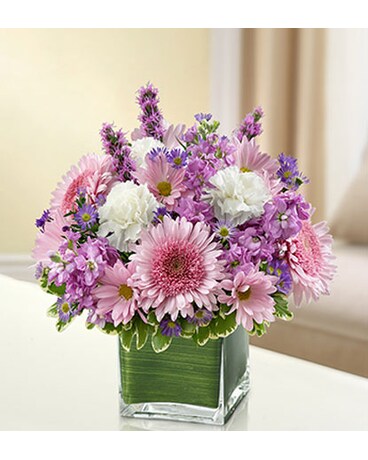 Lavender and White Cube Vase - #MF95420S