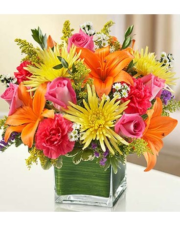 Multicolor Bright Cube Vase  -#MF95437L