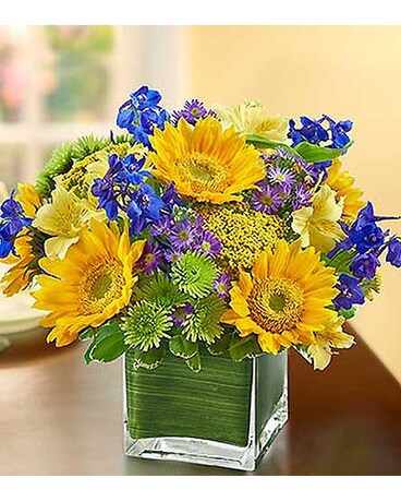 Fields-of-Europe-Summer-in-Cube-Vase MF99107L