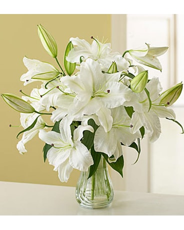 White Stargazer Lilies