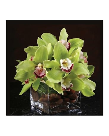 Luxe Orchid of Maui