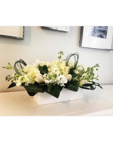 It's all white Chic & Classy