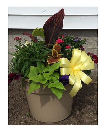 Annual Combination Pot