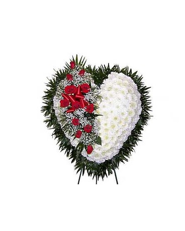 Bleeding Heart