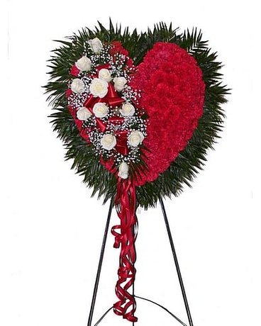 Red Bleeding Heart