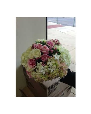 Our Work