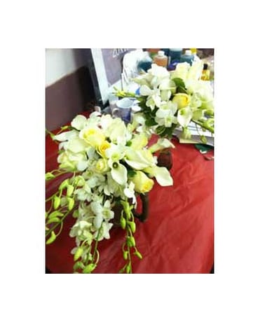 Our Work