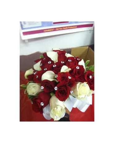 Our Work