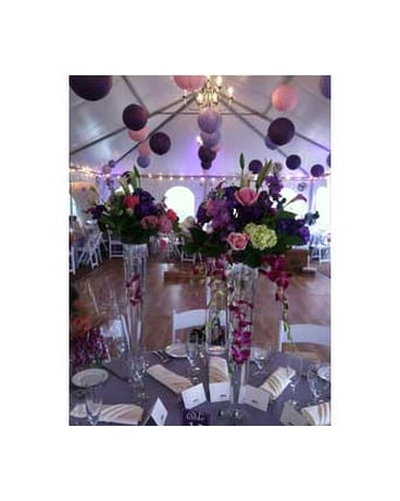 Our Work