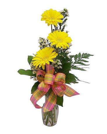Cities And Hospitals Delivery Tempe Az Watson Flower Shops Inc