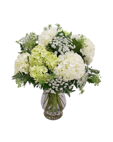 White & Green Hydrangea
