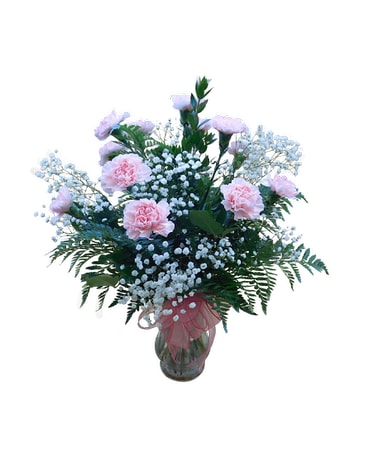 One Dozen Pink Carnations
