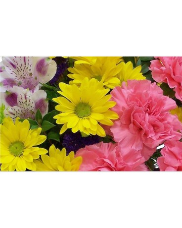 Mother's Day Designer's Choice