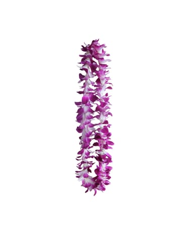 Purple Dendrobium Orchid Lei In Gilbert Az Watson S Flowers