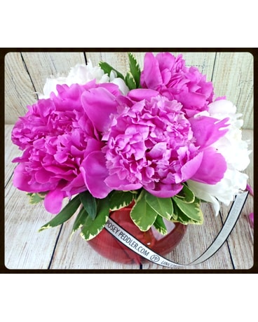 Posey Peony Vase