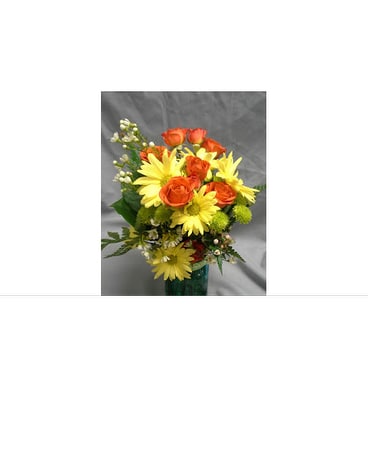Orange Crazy with Daisy