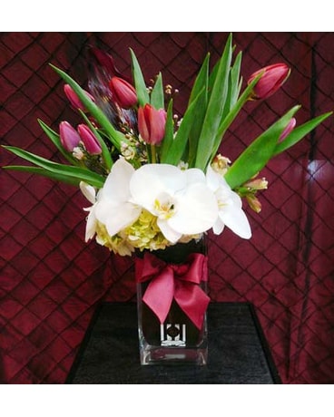Heavenly Tulips